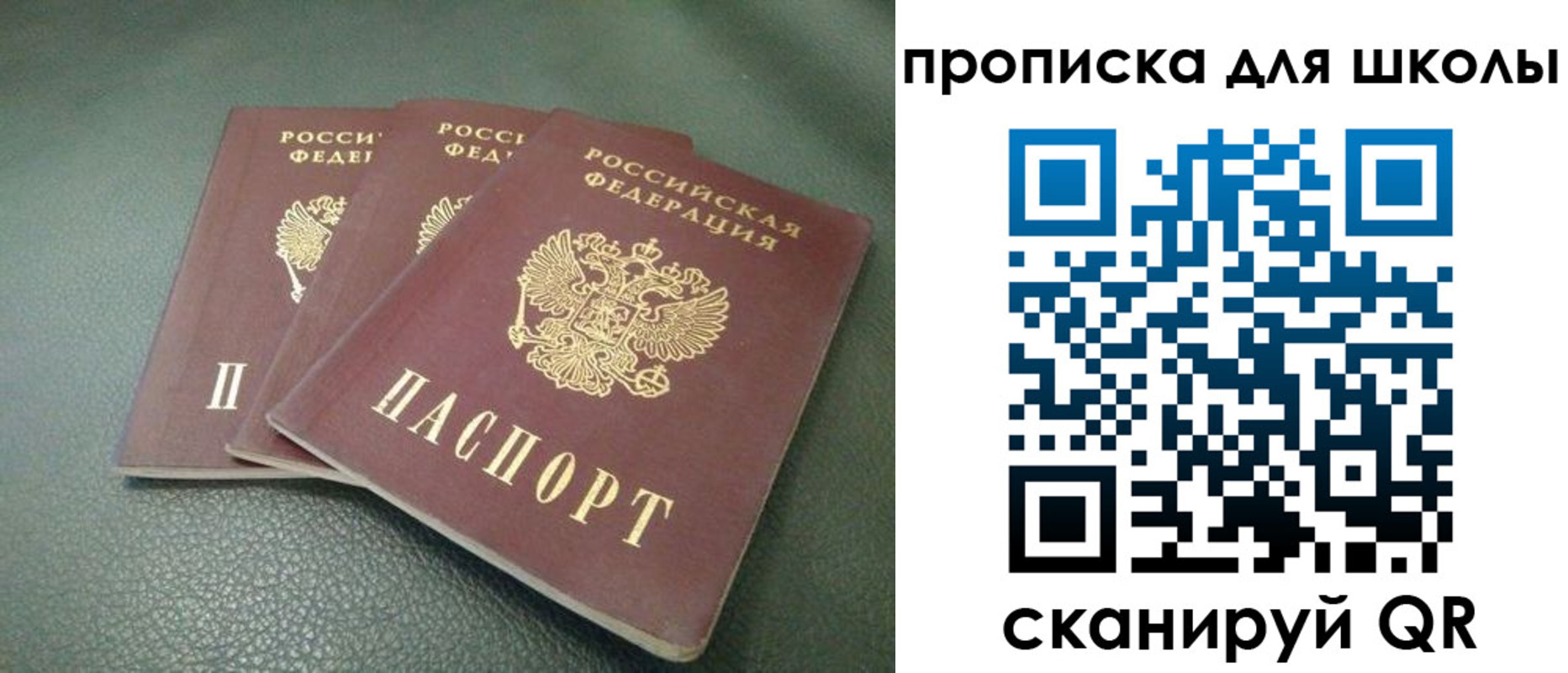 прописка от собственника в Владимире